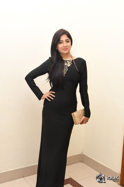 Poonam-Kaur-At-Thikka-Movie-Audio-Launch